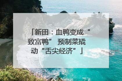 新田：血鸭变成“致富鸭” 预制菜撬动“舌尖经济”